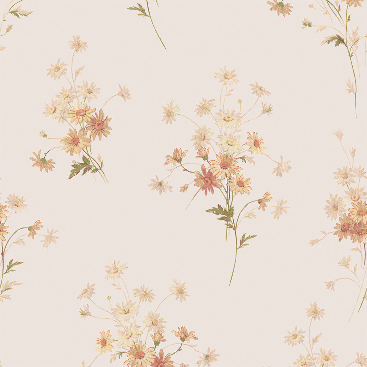 Cream Blush Daisy Bouquet Wallpaper